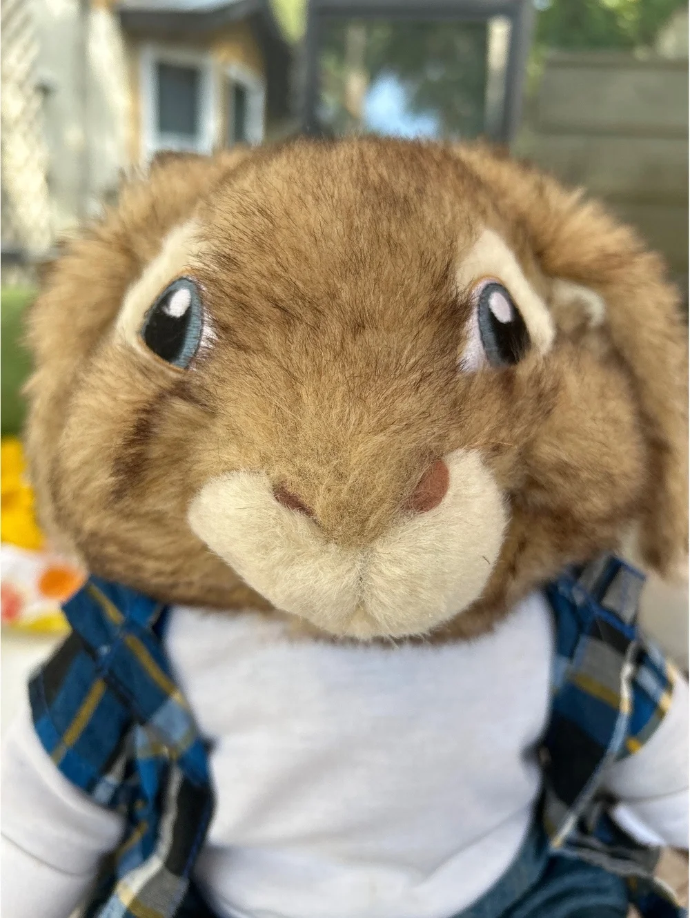 Build a bear bunny